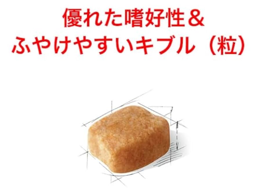 Amazon.co.jp: ロイヤルカナン BHN ダックスフンド 中・高齢犬用